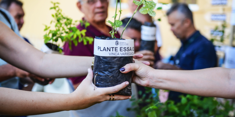 Semana do Meio Ambiente destaca iniciativas sustentáveis do cooperativismo paranaense