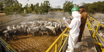 Cooperativismo discute desafios e oportunidades para o Proagro