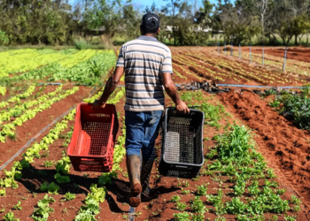 Produtores podem buscar desconto no Plano Safra por boas práticas agrícolas