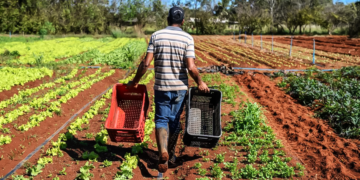 Produtores podem buscar desconto no Plano Safra por boas práticas agrícolas