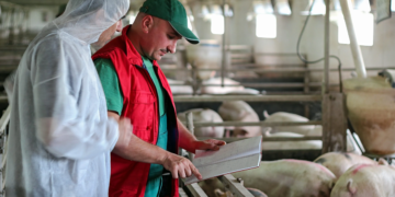 Auditorias externas reforçam compromisso de cooperativa pecuária com o bem-estar animal