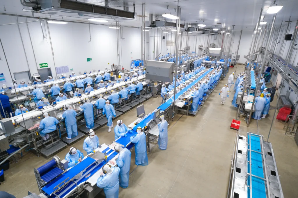 Cooperativas promovem trabalho digno e desenvolvimento sustentável pelo Brasil 3 Peixe