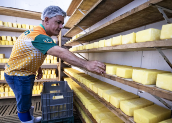 Cooperativas fortalecem mercado lácteo no sudeste brasileiro