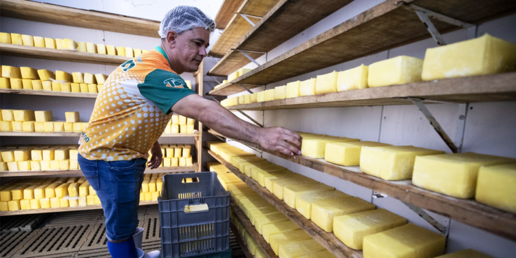 Cooperativas fortalecem mercado lácteo no sudeste brasileiro