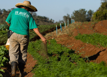 Semana do Meio Ambiente destaca iniciativas sustentáveis do cooperativismo paranaense
