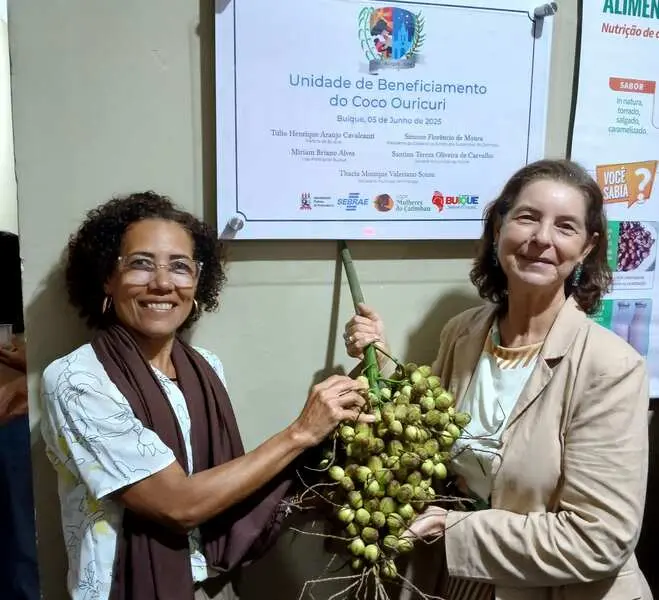 Mulheres do Catimbau inauguram cooperativa focada em bioeconomia e saberes tradicionais da Caatinga 3 inauguracao cooperativa
