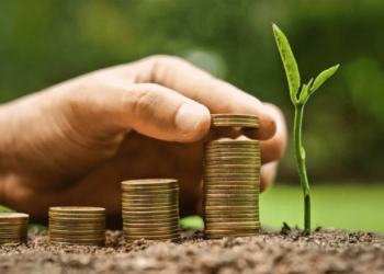 Cooperativa agro recebe R$ 7 milhões em bônus referentes ao crédito de carbono