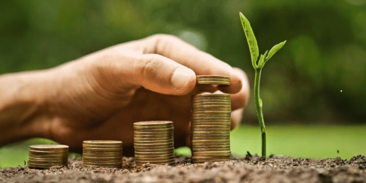 Cooperativa agro recebe R$ 7 milhões em bônus referentes ao crédito de carbono