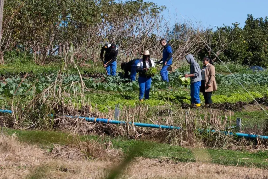 Cooperativas-escola transformam educação agrícola com ensino prático e inovador 3 20250624 agb colegio agricola 22 1 1024x684.jpg copiar 2
