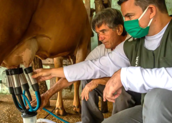 Cooperativismo impulsiona agropecuária no Paraná e vira modelo reconhecido pela ONU
