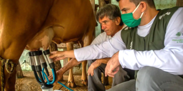 Cooperativismo impulsiona agropecuária no Paraná e vira modelo reconhecido pela ONU