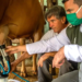 Cooperativismo impulsiona agropecuária no Paraná e vira modelo reconhecido pela ONU