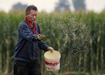China e Sri Lanka firmam acordo cooperativo para impulsionar desenvolvimento agropecuário