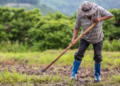 Câmara aprova uso do Fundo Social para apoiar agricultores em calamidades