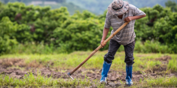 Câmara aprova uso do Fundo Social para apoiar agricultores em calamidades
