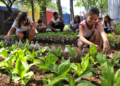 Ocepar fortalece cooperativas implementadas em colégios agrícolas