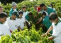 Cooperativas-escola transformam educação agrícola com ensino prático e inovador