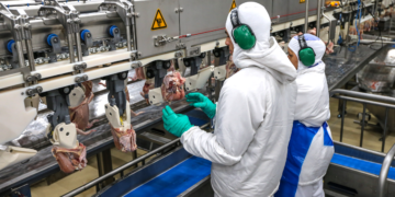 Curitiba tem 168 mil cooperados que geram R$ 8,4 bilhões de faturamento anual e 3,9 mil empregos