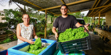 Cooperativa financeira e banco internacional fecham parceria para impulsionar agricultura verde e energia renovável