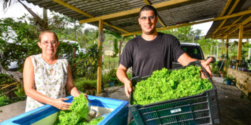 Cooperativa financeira e banco internacional fecham parceria para impulsionar agricultura verde e energia renovável