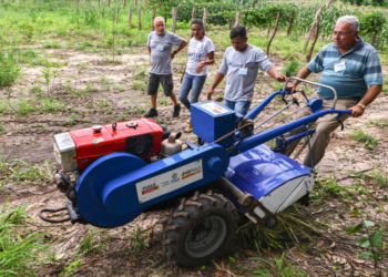 Cooperativas catarinenses ampliam educação no campo através de parcerias estratégicas