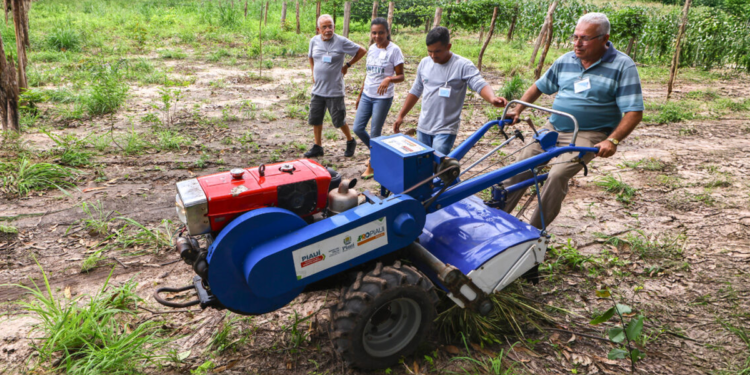 Cooperativas catarinenses ampliam educação no campo através de parcerias estratégicas