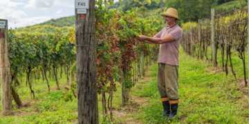 Cooperativismo integra conhecimento à jornada dedesenvolvimento do produtor rural 