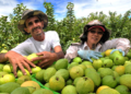Cooperativismo viabiliza primeira agroindústria de Morrinhos do Sul (RS)
