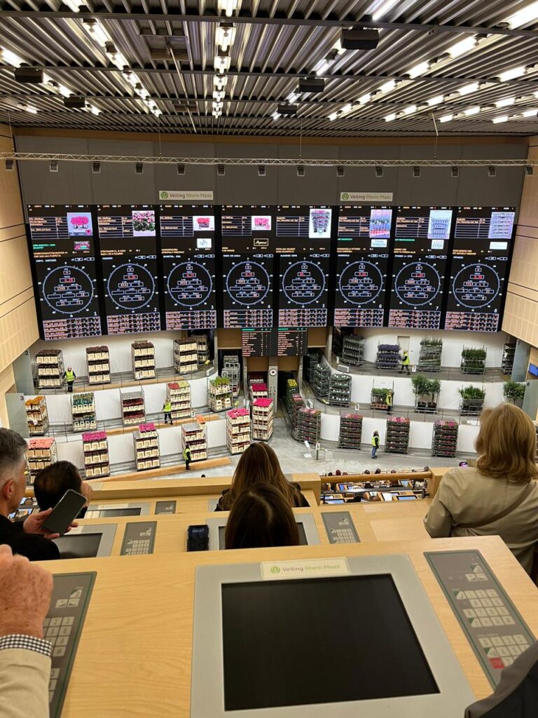 Cooperação sem fronteiras 3 Grupo esteve no Veiling Rhein Maas na Alemanha