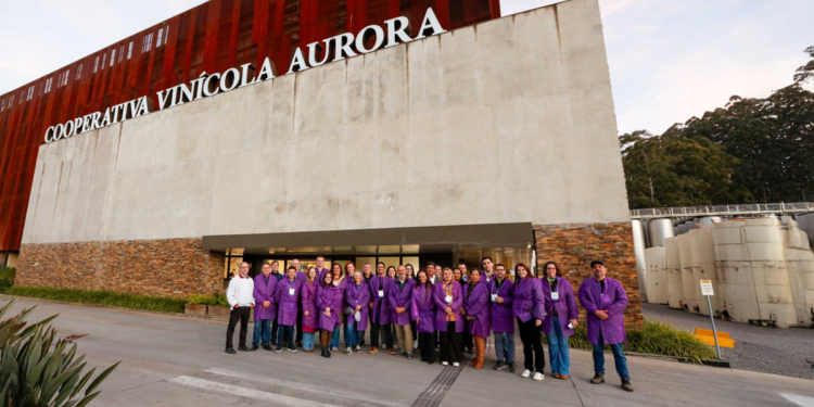 Rio Grande do Sul apresenta cases de cooperativas locais para debate pré-COP30