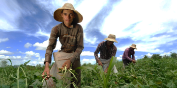 Política para manter jovens agricultores no campo agora é lei
