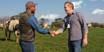 Cooperativa de crédito deve liberar R$ 4,2 bi em crédito rural no Plano Safra