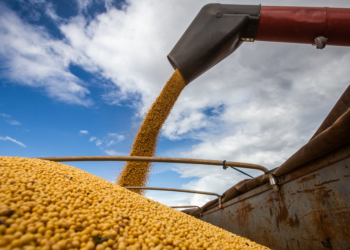 Tarifas ameaçam contratos e receita de exportadores do agro brasileiro