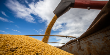Tarifas ameaçam contratos e receita de exportadores do agro brasileiro