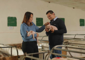 Cooperativa agropecuária se destaca e conquista o Selo GPTW 2025