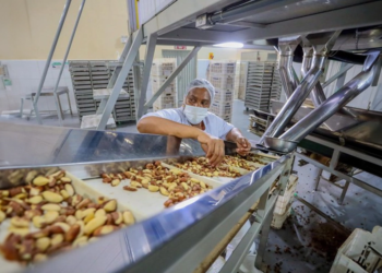 Cooperativa do Acre já exporta 50% da produção para 11 países
