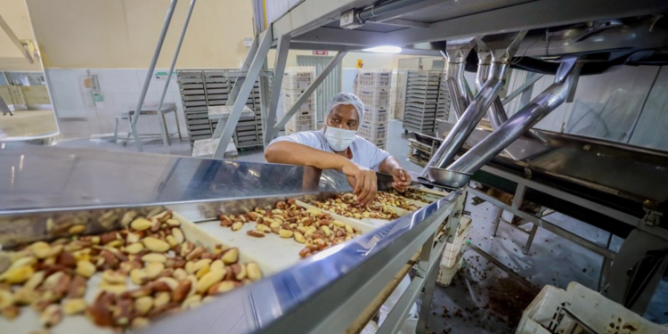 Cooperativa do Acre já exporta 50% da produção para 11 países