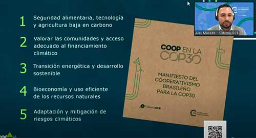 ALEXMACEDO copiar