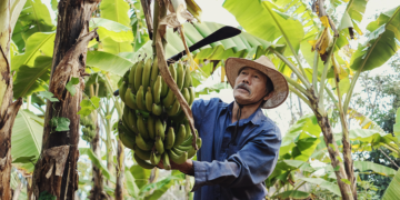 ApexBrasil estabelece parceria para impulsionar exportações de cooperativas e da agricultura familiar