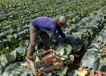 BNDES anuncia R$ 60 milhões para cooperativas de agricultura familiar produzirem bioinsumos