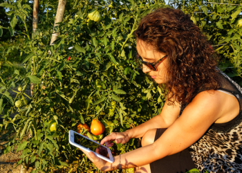 Agro tecnologia