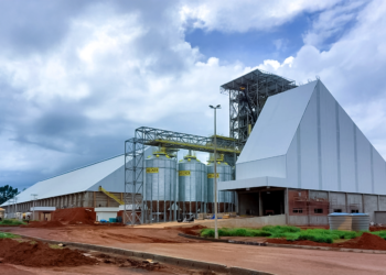 Cooperativa goiana receberá reconhecimento do programa nacional de controle de emissão de carbono