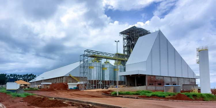Cooperativa goiana receberá reconhecimento do programa nacional de controle de emissão de carbono