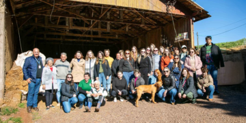 Cooperativas agro do Paraná trocam experiências sobre diversificação produtiva