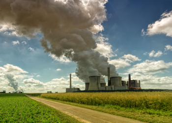Cooperativa cafeeira reduz 10,4% das emissões diretas e tem inventário de carbono verificado