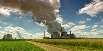 Cooperativa cafeeira reduz 10,4% das emissões diretas e tem inventário de carbono verificado