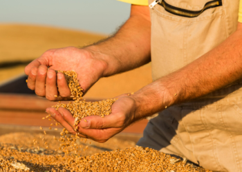 Cooperativas catarinenses são beneficiadas com nova lei para reduzir ICMS em insumos agro