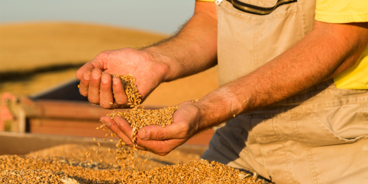 Cooperativas catarinenses são beneficiadas com nova lei para reduzir ICMS em insumos agro
