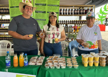 Cooperativas ganham destaque no desenvolvimento da agricultura familiar em Roraima