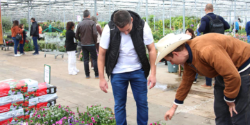 Inovação que floresce: o modelo de leilão da cooperativa e o futuro do cooperativismo